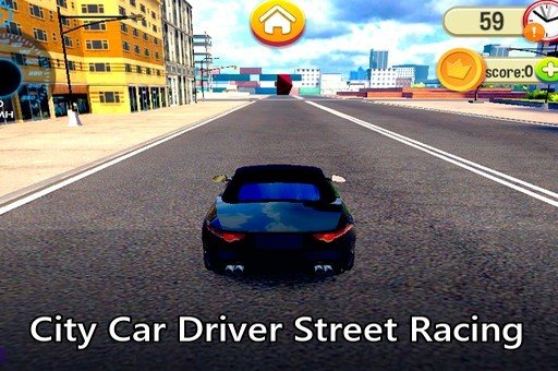 Street Brawl Champion